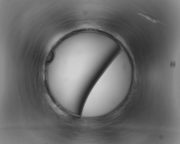X0000112140791200908070937