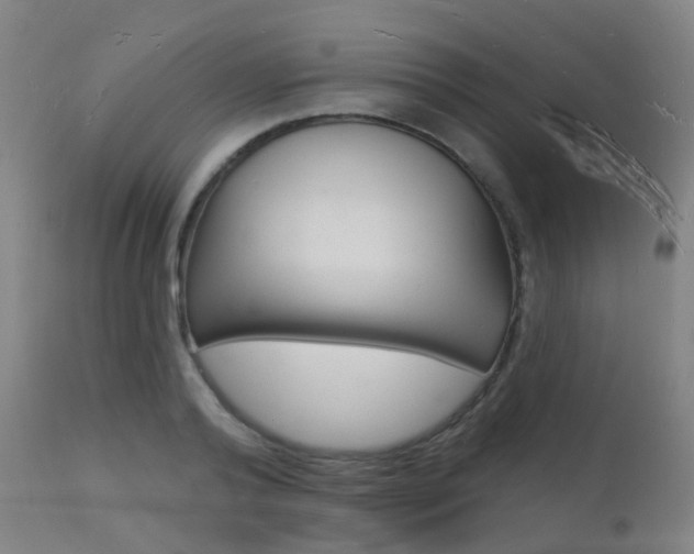 X0000112140792200908070937