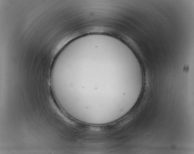 X0000112140794200908070937
