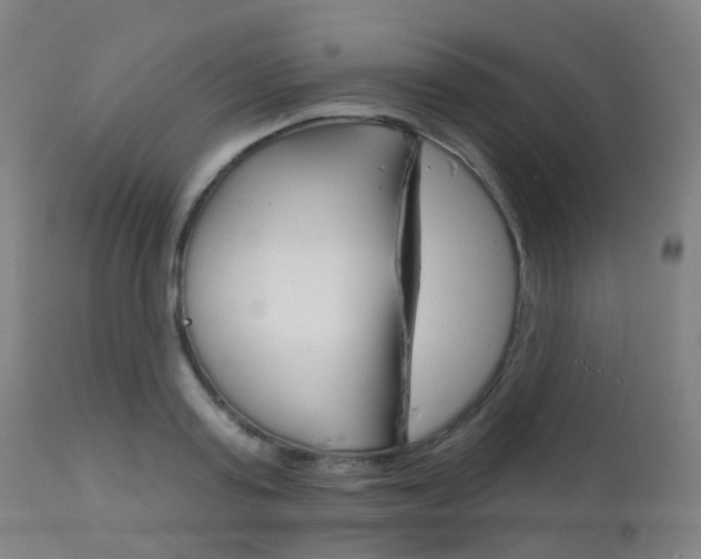 X0000112140795200908070937