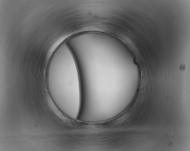 X0000112140796200908070937
