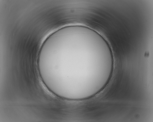 X0000112140797200908070937
