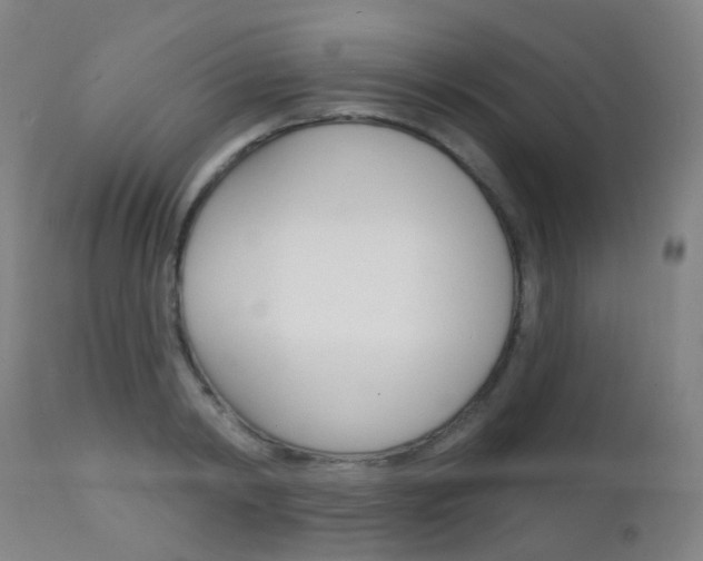 X0000112140798200908070937