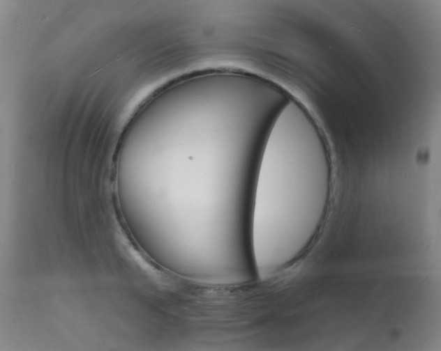 X0000112140799200908070937