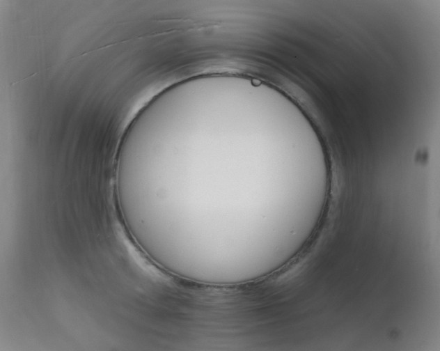 X0000112140802200908070937