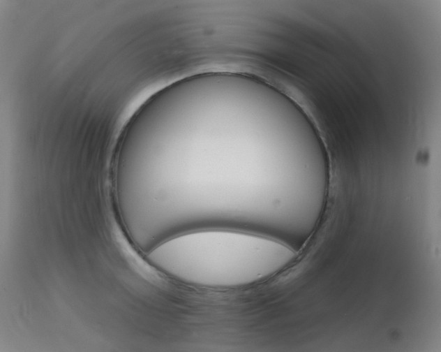 X0000112140803200908070937