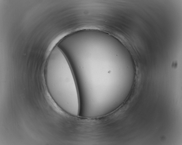 X0000112140804200908070937