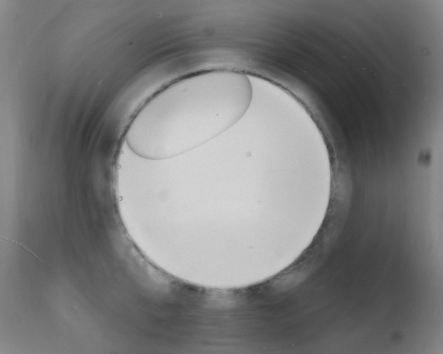 X0000112140807200908070937
