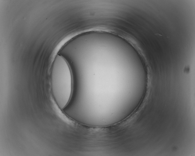 X0000112140808200908070937