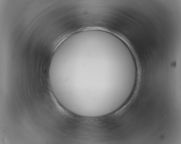 X0000112140809200908070937