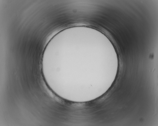 X0000112140810200908070937
