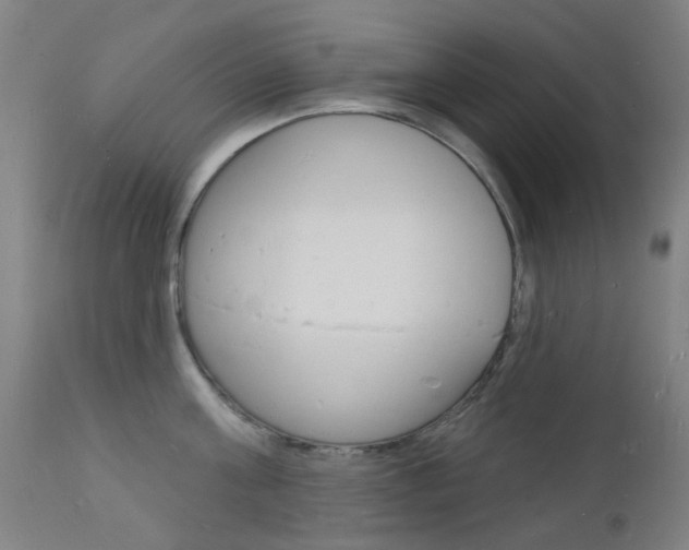 X0000112140811200908070937