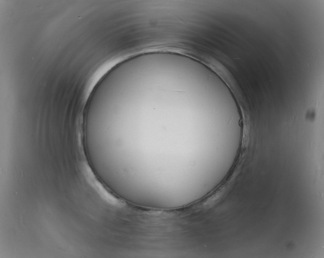 X0000112140812200908070937