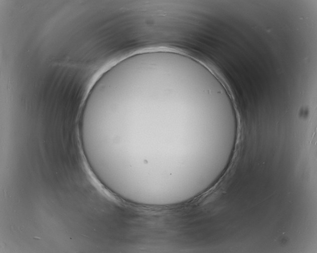 X0000112140813200908070937