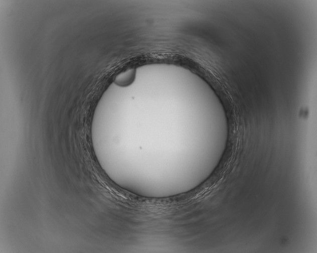 X0000112140817200908070936