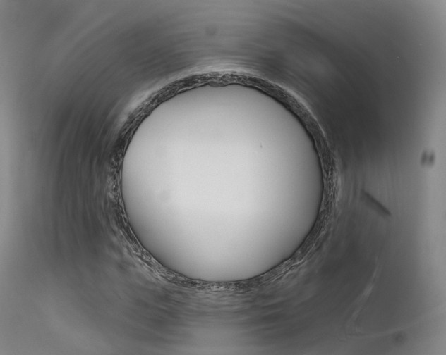 X0000112140823200908070937