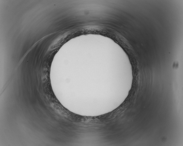 X0000112140824200908070937