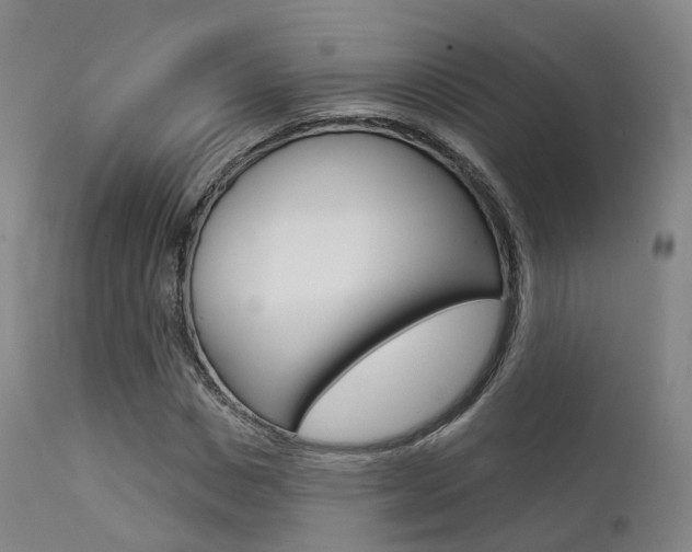 X0000112140825200908070937