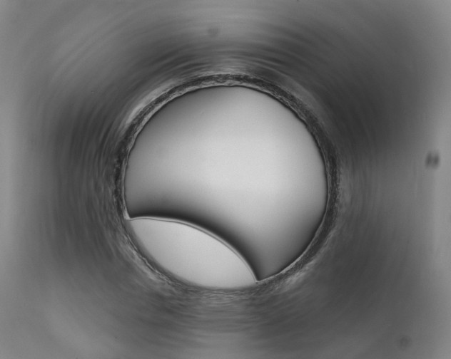 X0000112140826200908070937