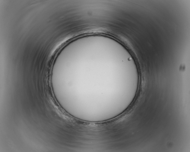 X0000112140827200908070937