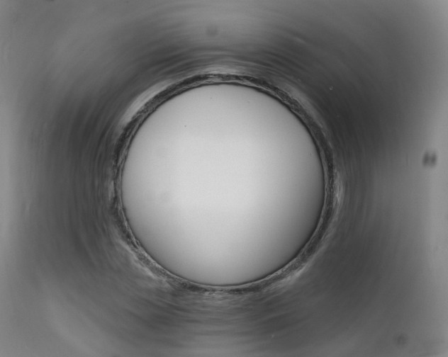 X0000112140829200908070937