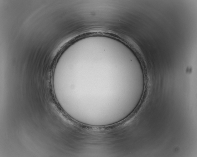 X0000112140831200908070937