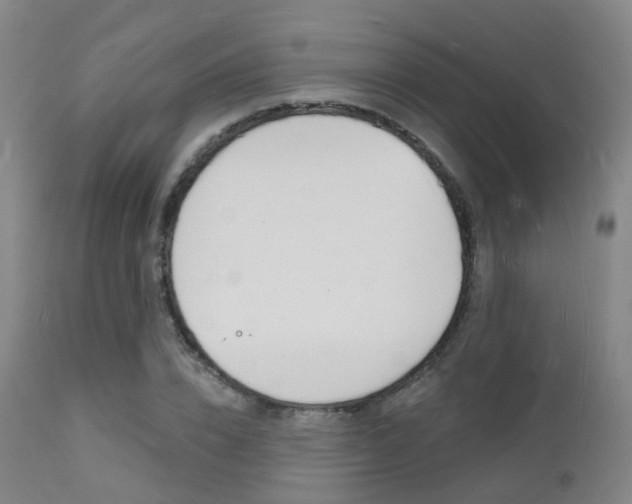 X0000112140832200908070937
