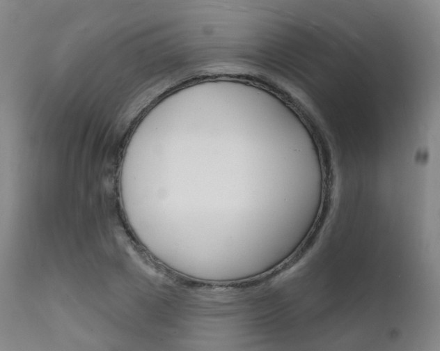 X0000112140833200908070937