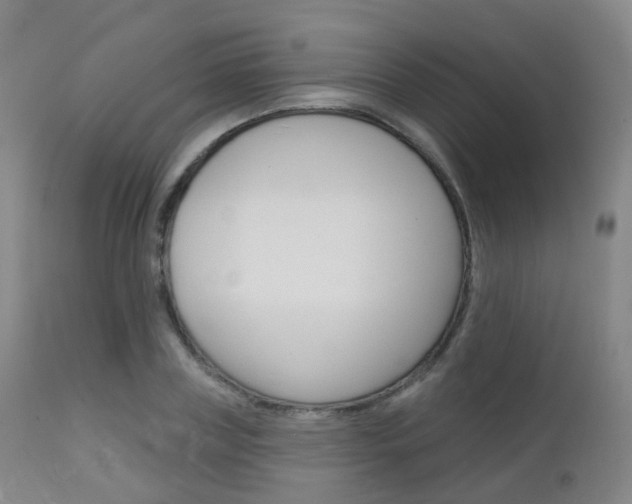 X0000112140835200908070937