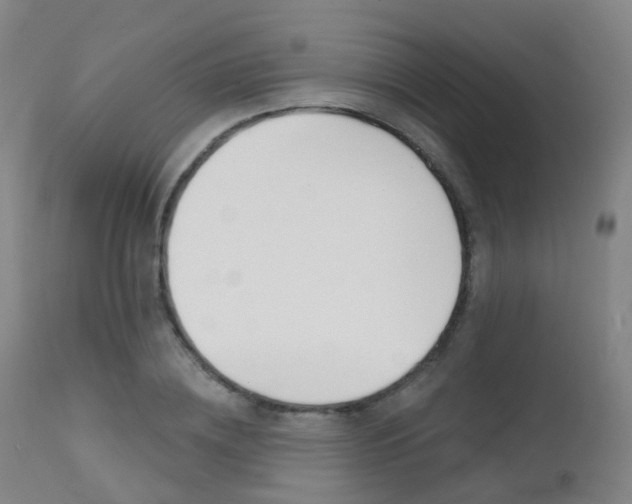 X0000112140836200908070937