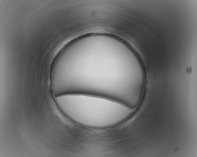 X0000112140837200908070937