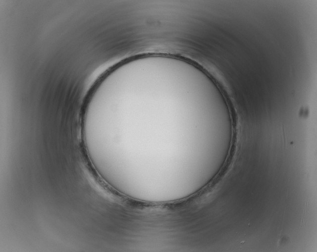 X0000112140838200908070937