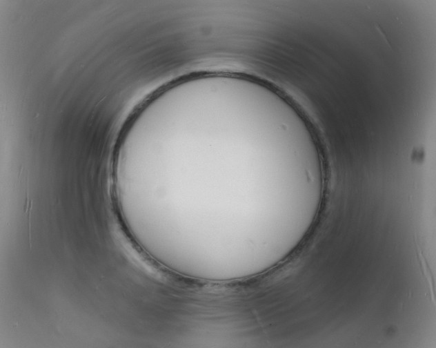 X0000112140840200908070937