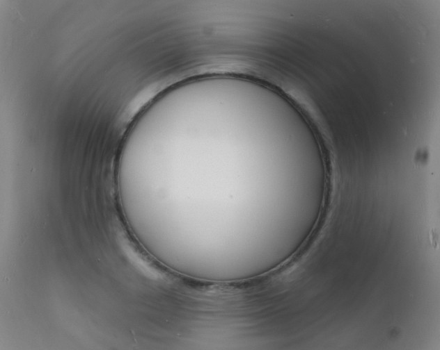 X0000112140842200908070937