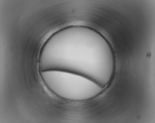 X0000112140845200908070937