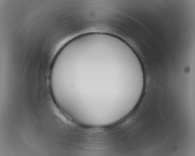 X0000112140846200908070937