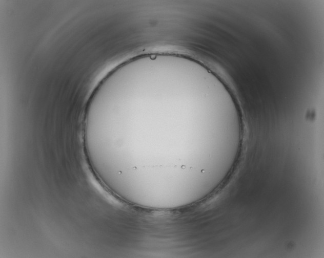 X0000112140847200908070937