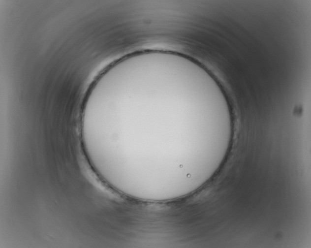 X0000112140848200908070937