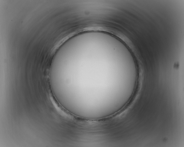 X0000112140849200908070937