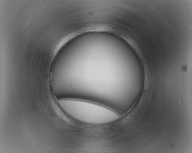 X0000112140850200908070937