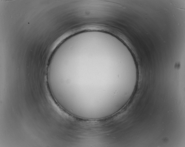 X0000112140853200908070937
