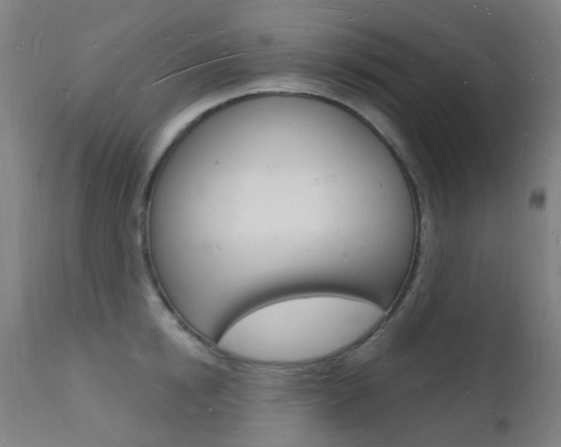 X0000112140854200908070937