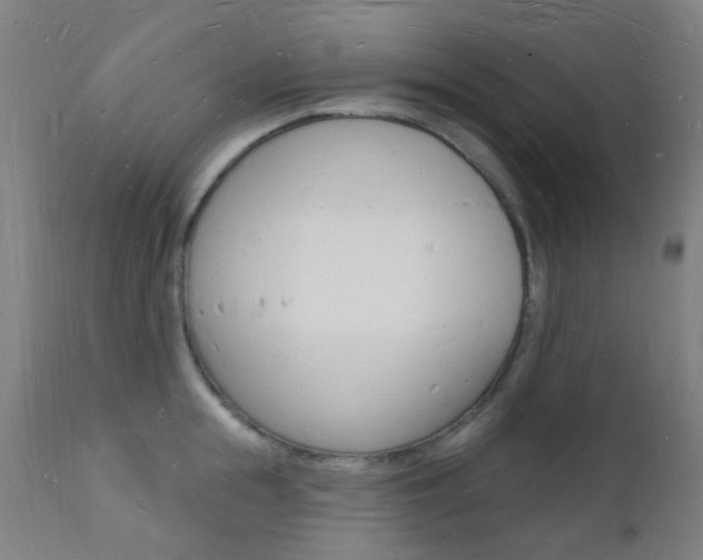 X0000112140855200908070937