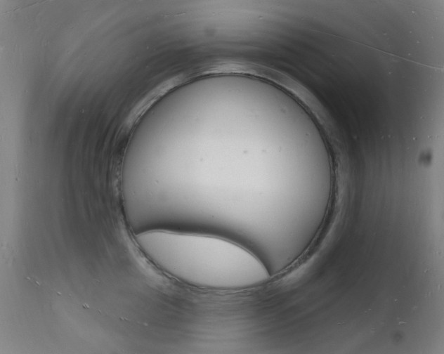 X0000112140857200908070937