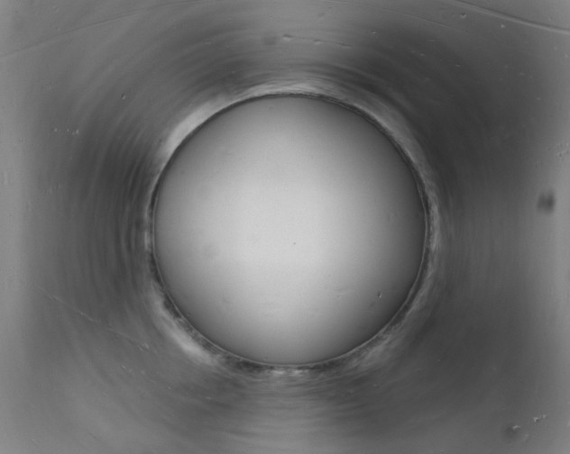 X0000112140858200908070937