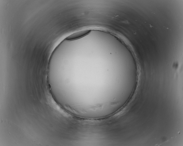 X0000112140860200908070937