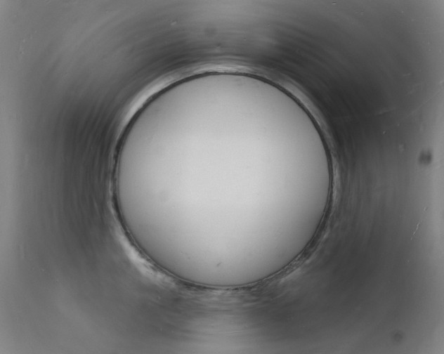 X0000112140861200908070937
