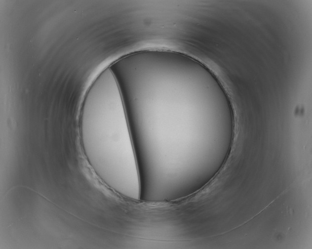 X0000112140864200908070937