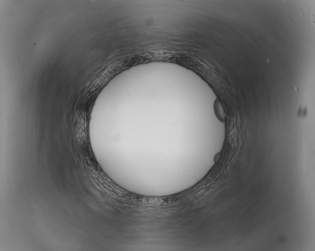 X0000112140866200908070936