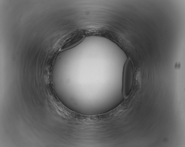 X0000112140868200908070936